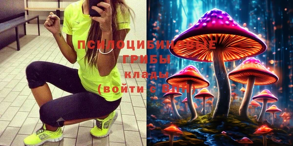 СК Алексеевка