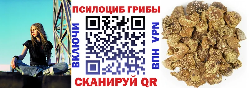 Галлюциногенные грибы MAGIC MUSHROOMS  маркетплейс какой сайт  Тарко-Сале 